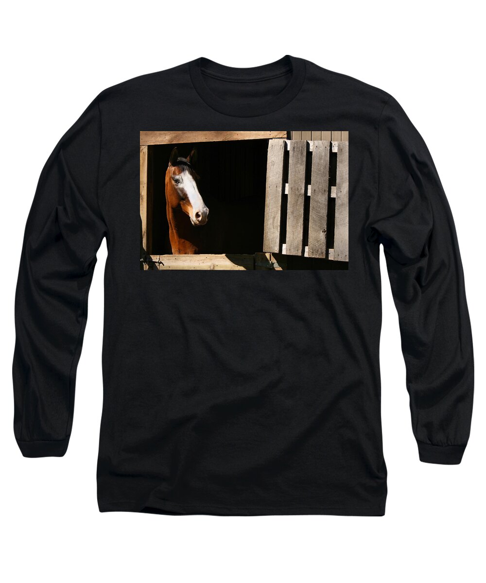 Horse Long Sleeve T-Shirt featuring the photograph Window by Angela Rath