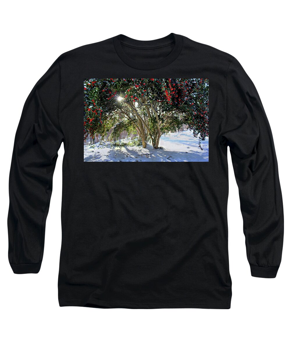 Holly Long Sleeve T-Shirt featuring the photograph Winter Holly by Jessica Brawley