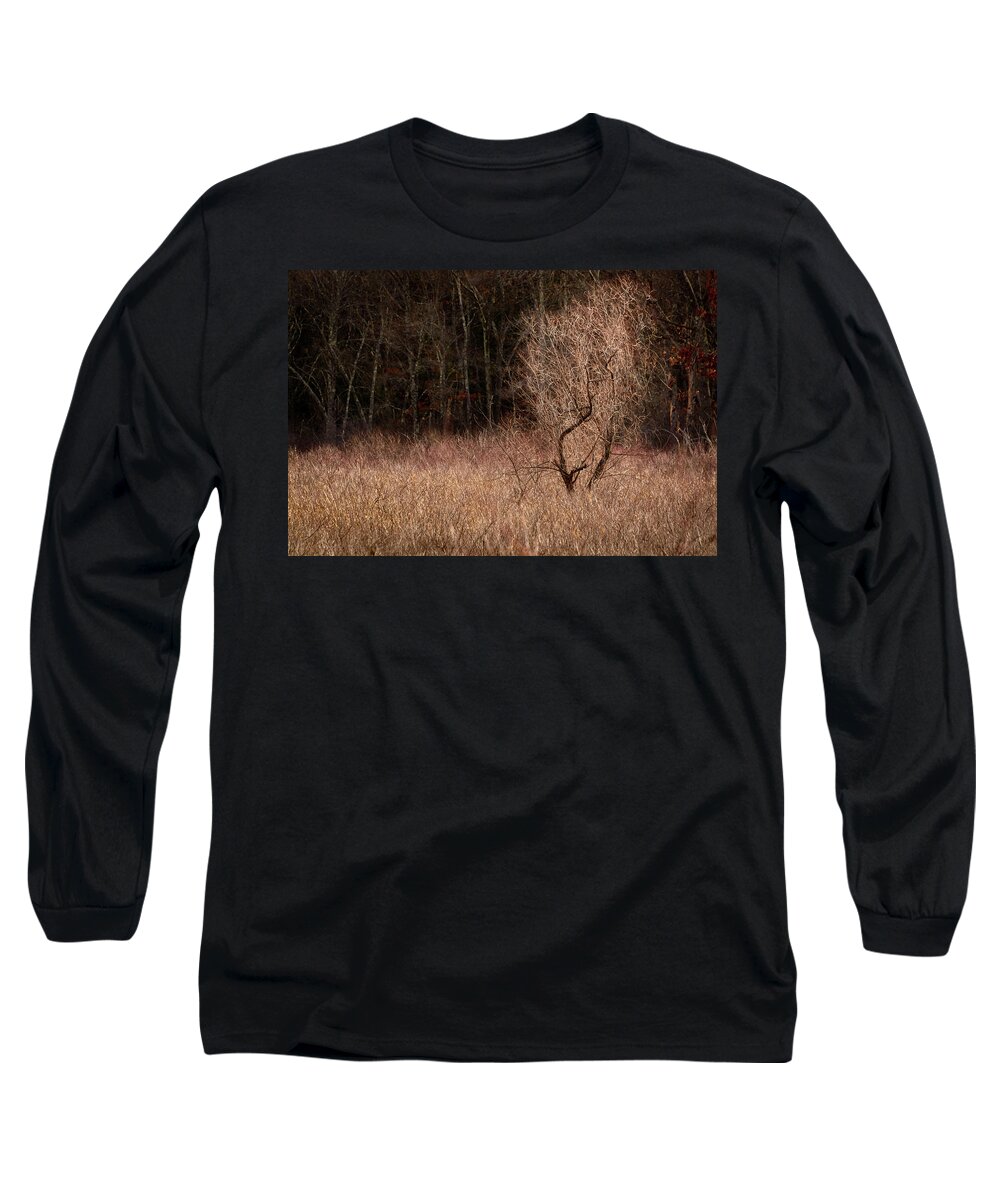 Landscape Long Sleeve T-Shirt featuring the photograph Winter Light by Robert Mitchell
