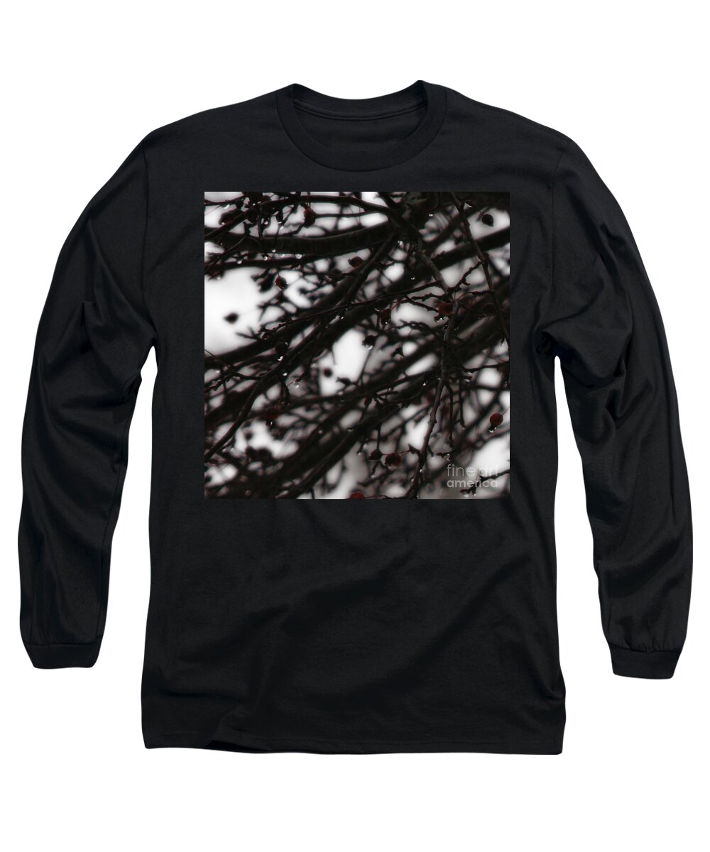 Branches Long Sleeve T-Shirt featuring the photograph Winter Rain by Linda Shafer