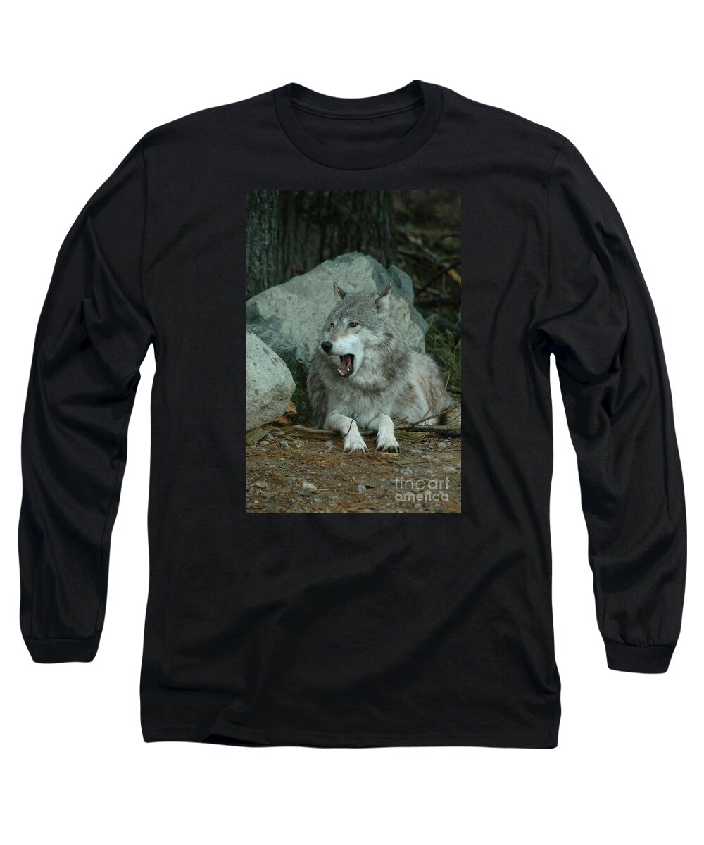 Wolf Long Sleeve T-Shirt featuring the photograph Yawning Wolf by Sandra Updyke