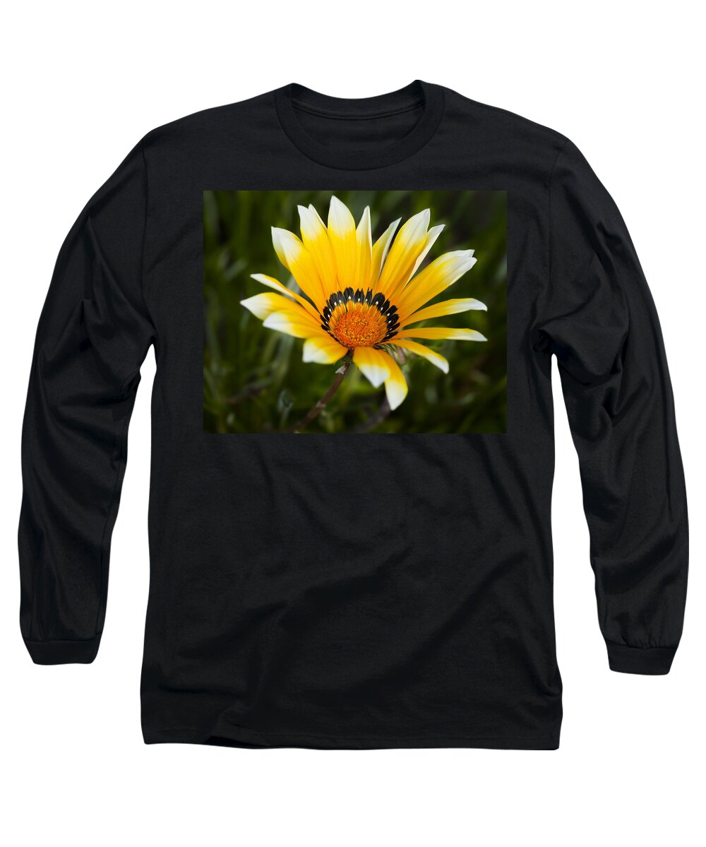 Flowers Long Sleeve T-Shirt featuring the photograph Yellow Fellow by Kelley King