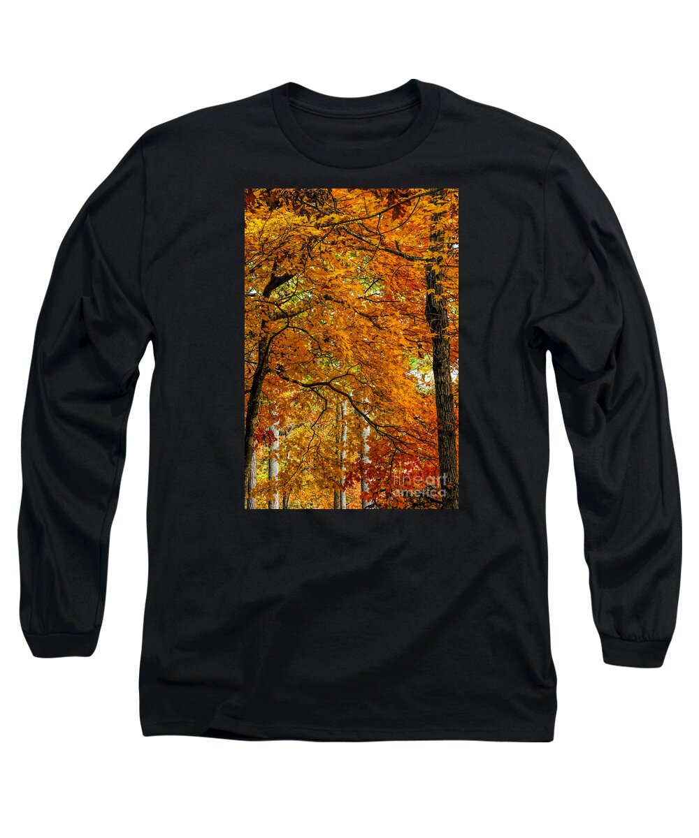 Fall Long Sleeve T-Shirt featuring the photograph Yellow Leaves by Barbara Bowen