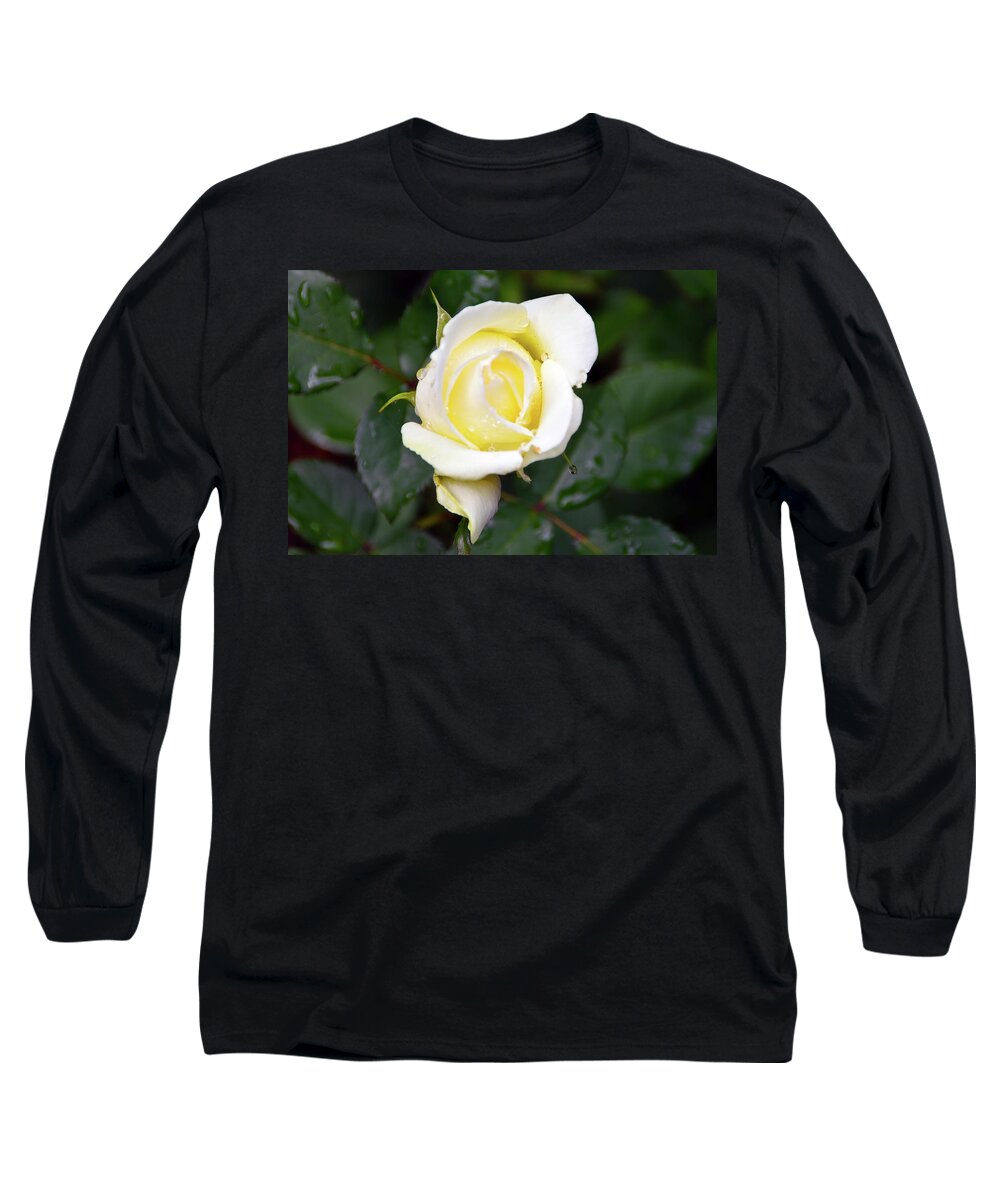 Yellow Long Sleeve T-Shirt featuring the photograph Yellow Rose 1 by Brian O'Kelly