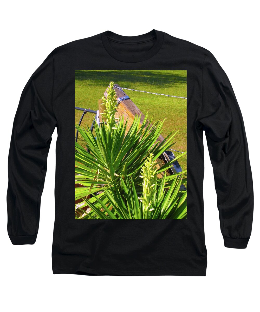 Yucca Long Sleeve T-Shirt featuring the photograph Yucca Dreams by Judith Lauter