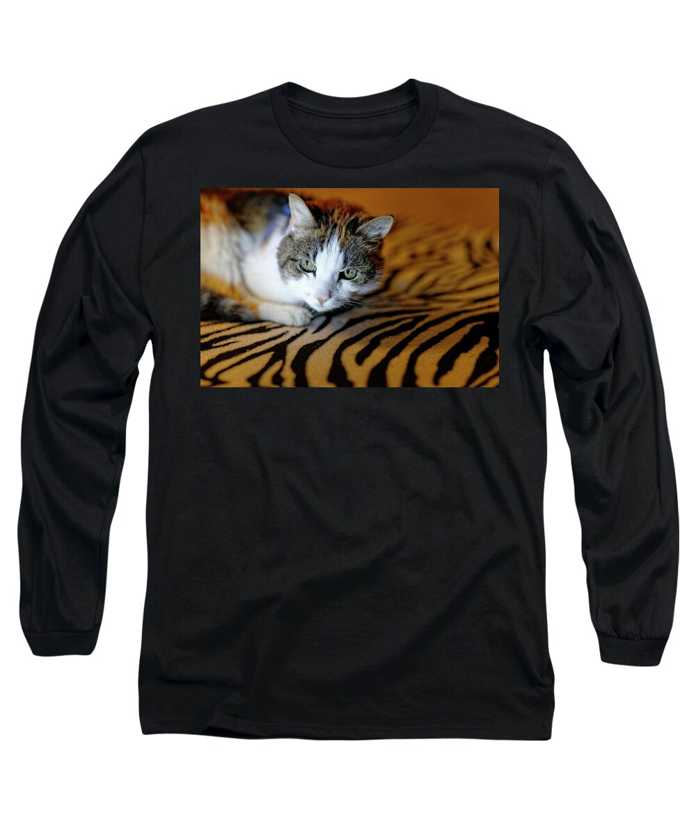  Long Sleeve T-Shirt featuring the photograph Zebra Cat by Carl Wilkerson