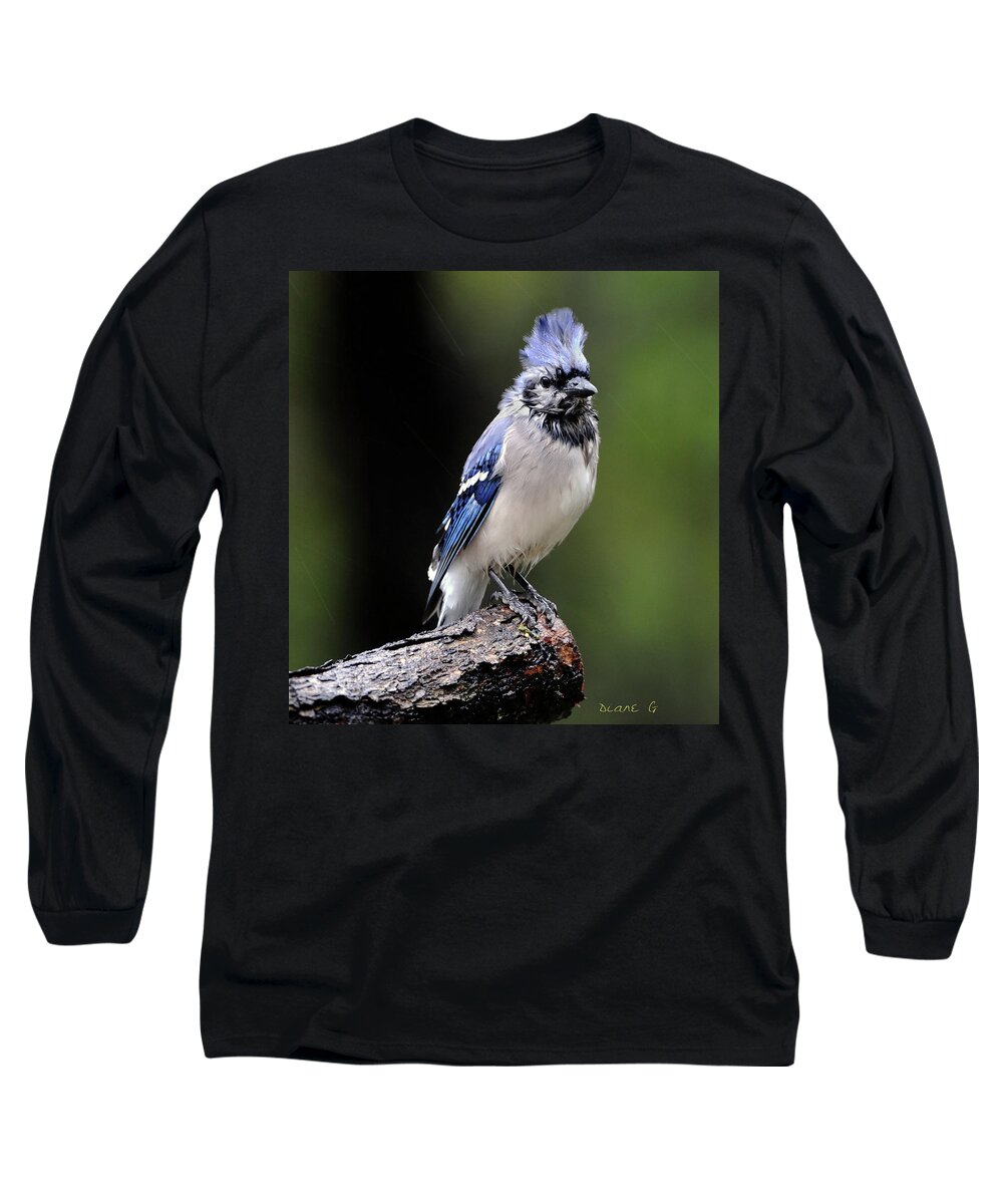  Blue Jay Long Sleeve T-Shirt featuring the photograph Rainy Day Blue Jay #1 by Diane Giurco