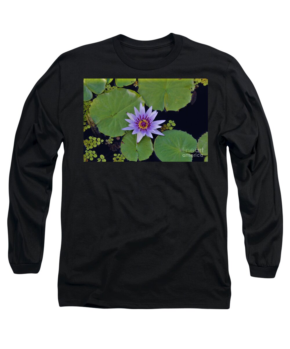 Naples Long Sleeve T-Shirt featuring the photograph Botanical Gardens #10 by Donn Ingemie