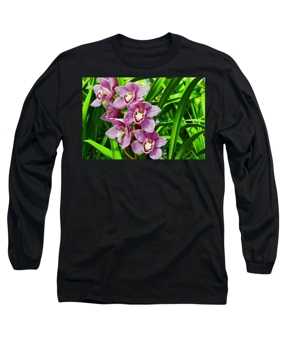 Flowers Long Sleeve T-Shirt featuring the photograph Purple Cymbidium Orchids I by Bnte Creations