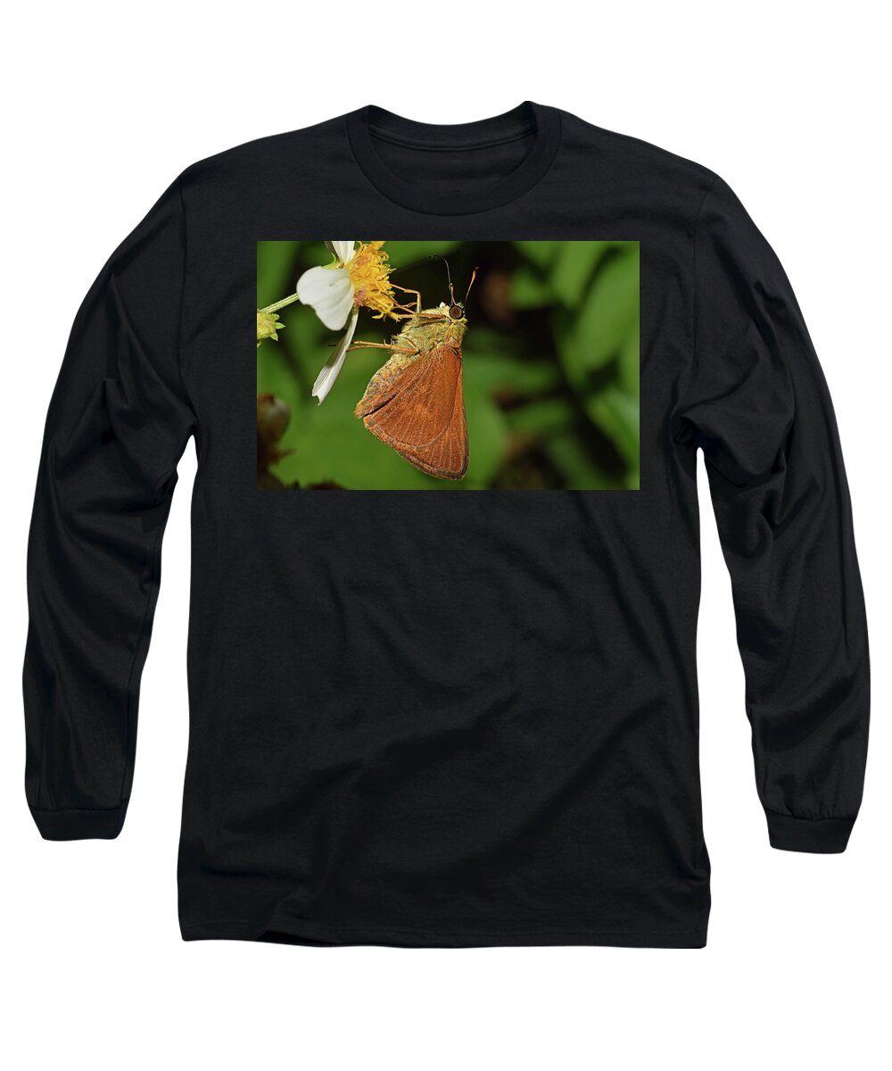 Photograph Long Sleeve T-Shirt featuring the photograph Skipper Butterfly #3 by Larah McElroy