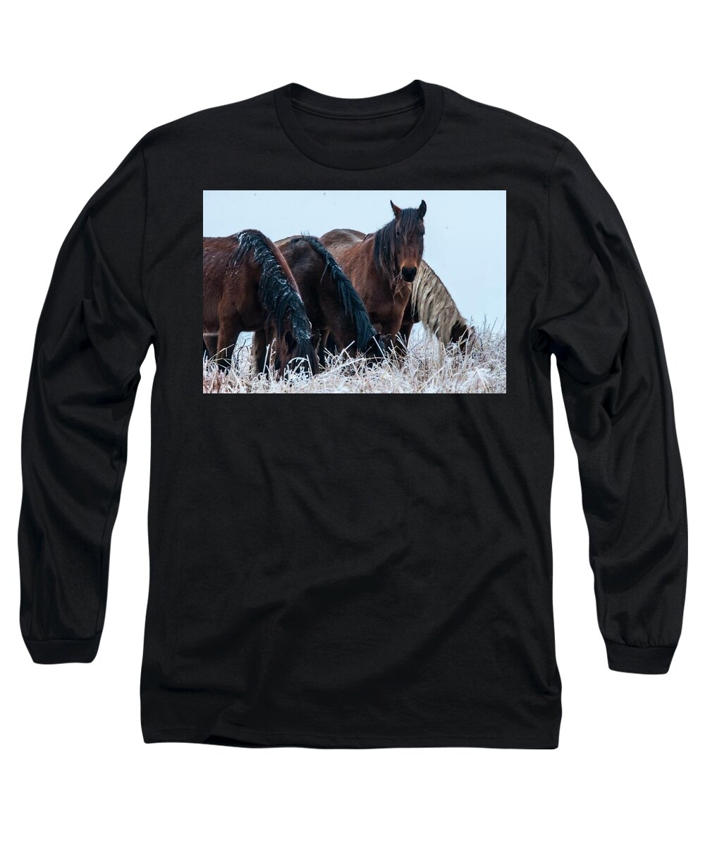  Long Sleeve T-Shirt featuring the photograph A Bit of Frost by Jolynn Reed