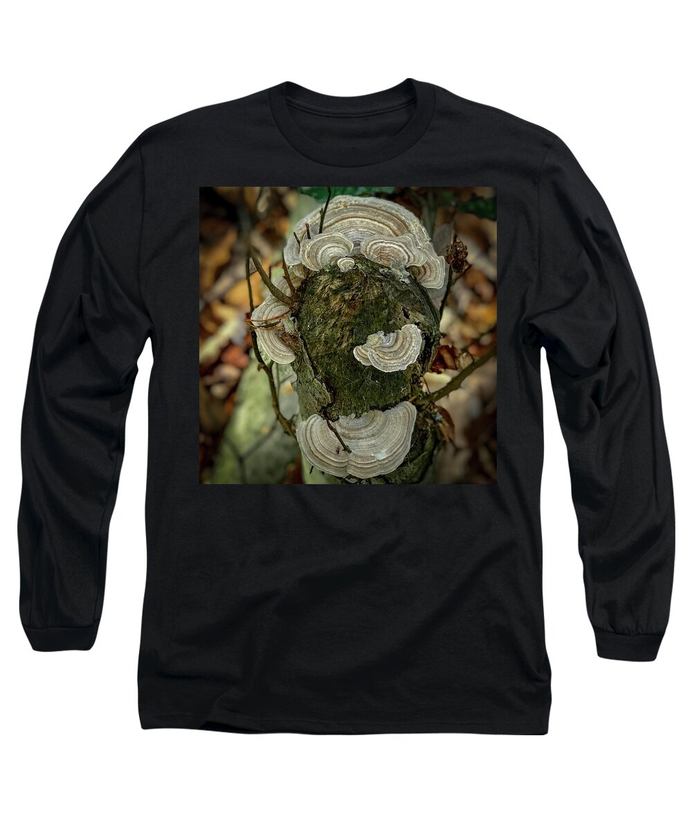 Tree Fungus Long Sleeve T-Shirt featuring the photograph Another Fungus by Lora J Wilson