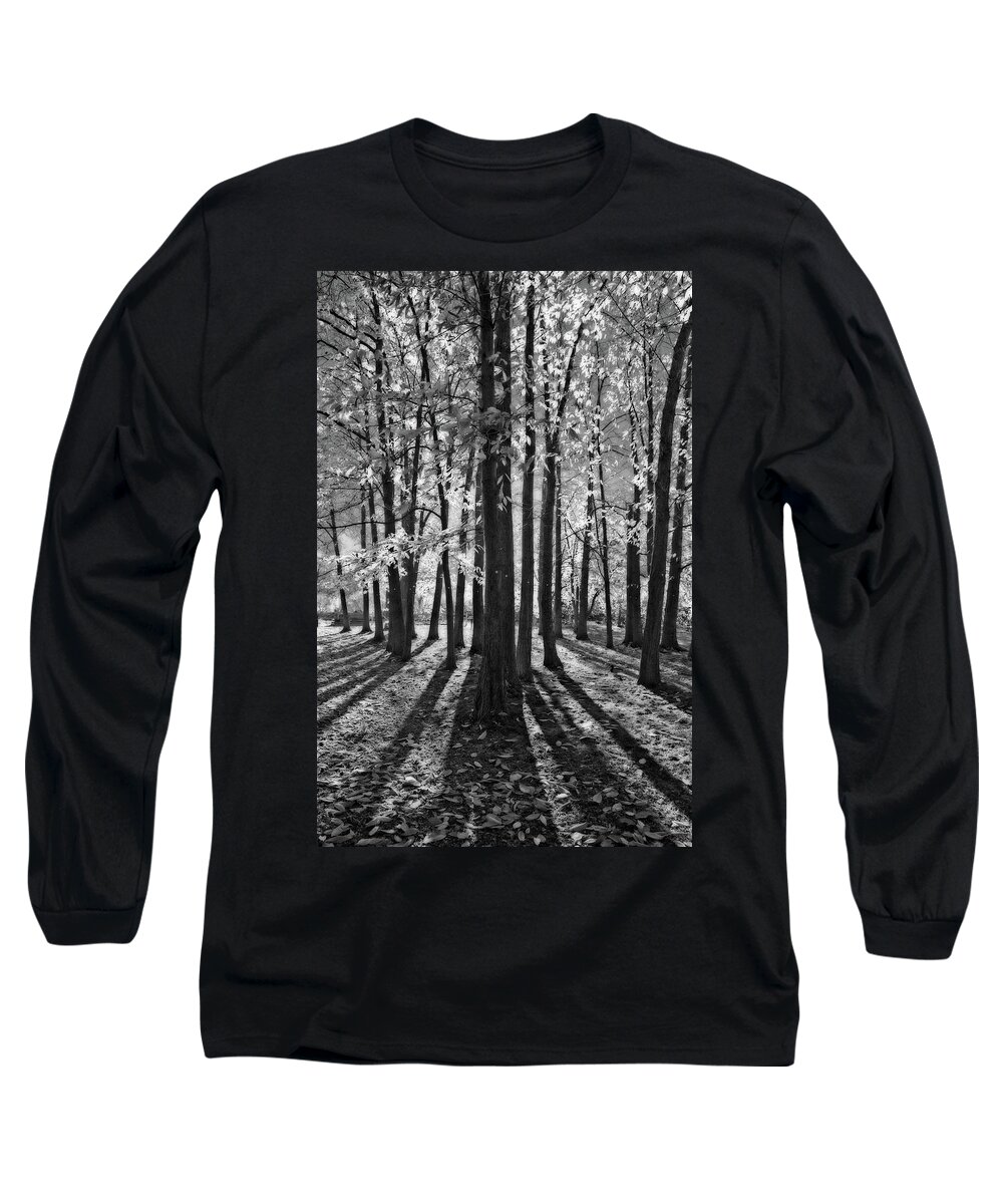 Landscape Long Sleeve T-Shirt featuring the photograph Backlit Autumn Trees by Allan Van Gasbeck