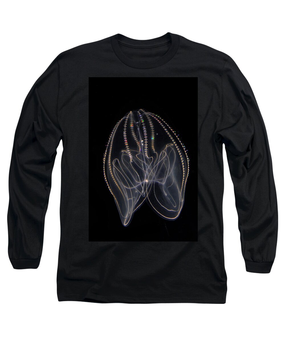 00650592 Long Sleeve T-Shirt featuring the photograph Bioluminescent Comb Jelly 4 by Hiroya Minakuchi