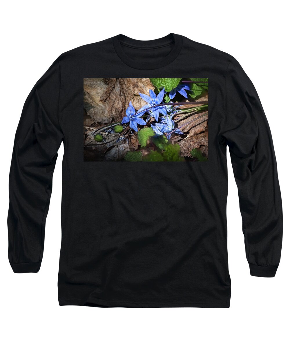 Bluebells Long Sleeve T-Shirt featuring the photograph Blending Time - by Julie Weber