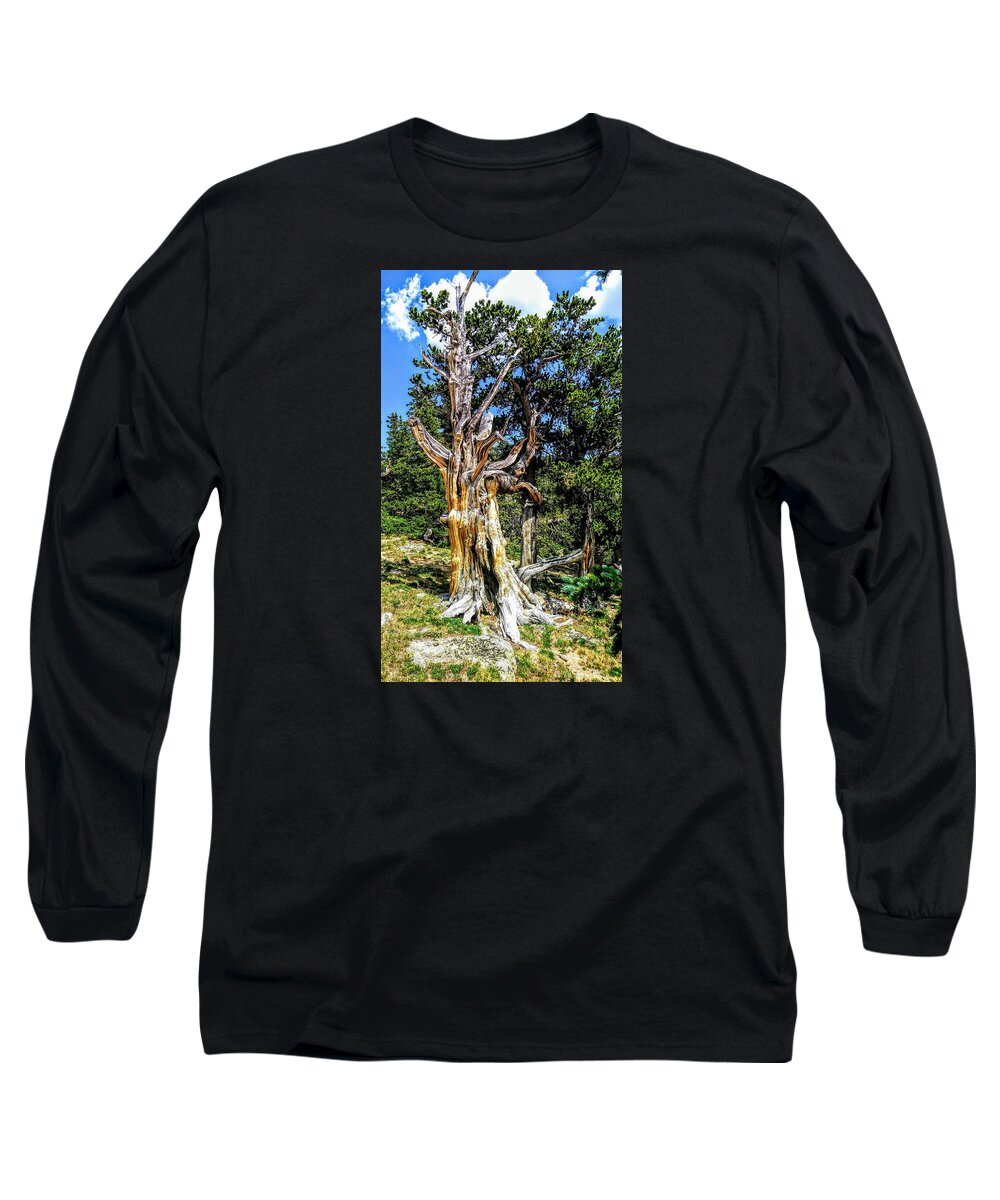 Tree Long Sleeve T-Shirt featuring the photograph Bristlecone1 2018 by Aaron Bombalicki