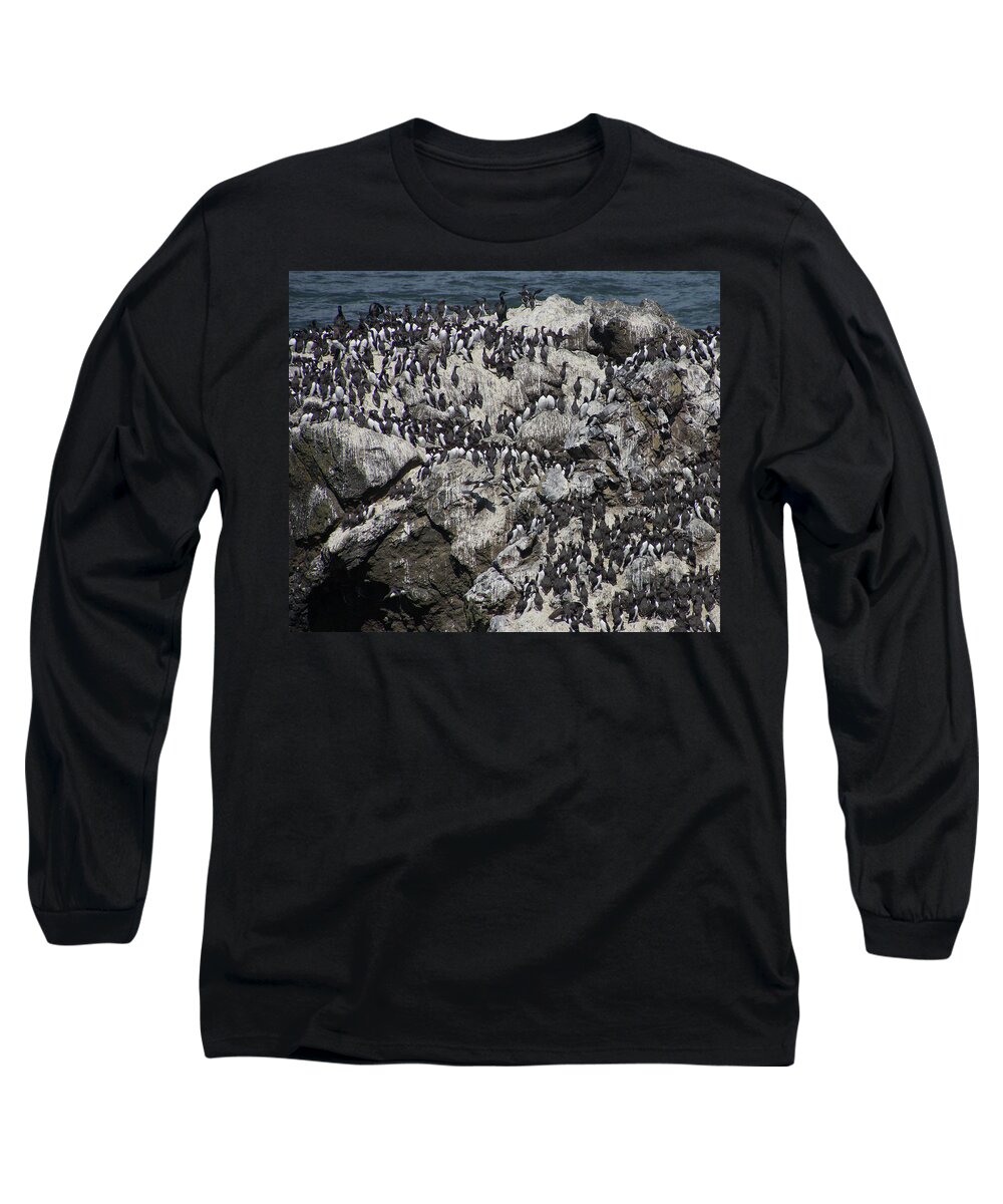 Coast Long Sleeve T-Shirt featuring the photograph Common Murre and pelagic cormorants by Steve Estvanik