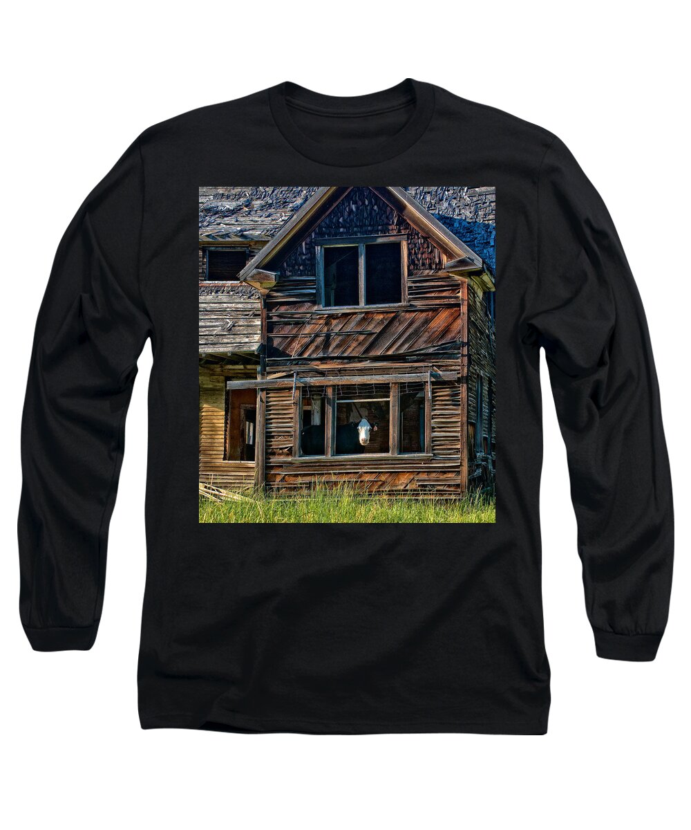 Cow Long Sleeve T-Shirt featuring the photograph Cow in Living Room by Ed Broberg