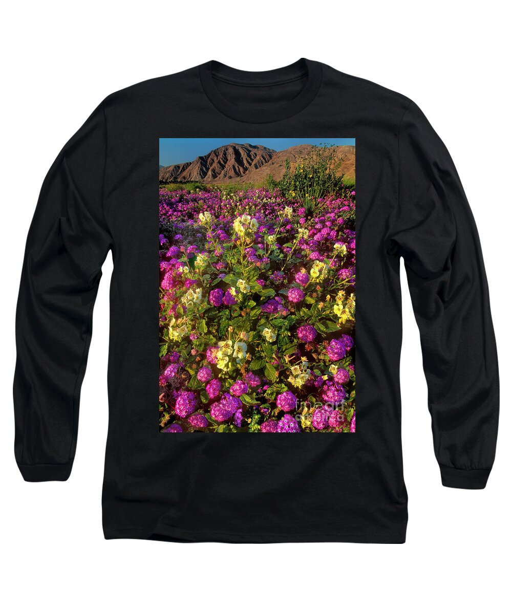 Dave Welling Long Sleeve T-Shirt featuring the photograph Desert Sand Verbena and Brown-eyed Primrose Below the Coyote Mountains California by Dave Welling