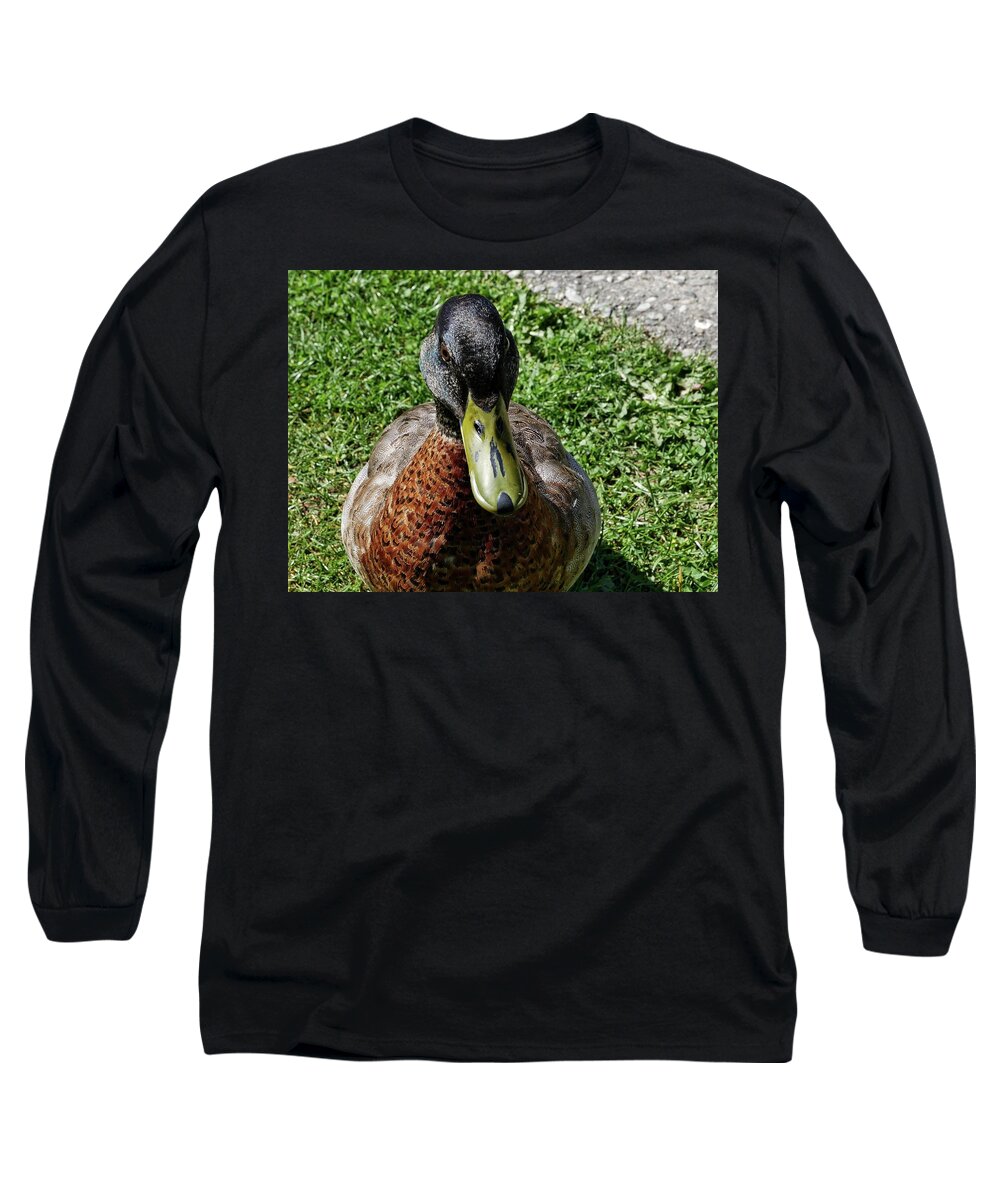 Duck Long Sleeve T-Shirt featuring the photograph Duck closeup by Martin Smith