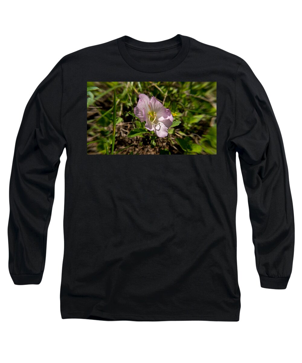 Flower Long Sleeve T-Shirt featuring the photograph Early Spring Flower by Ivars Vilums