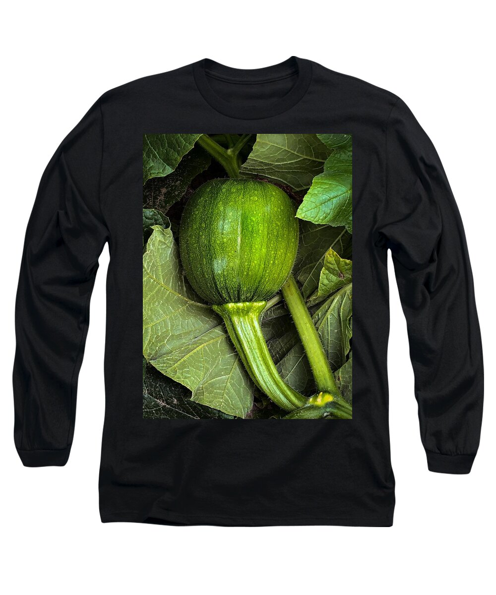 Pumpkin Long Sleeve T-Shirt featuring the photograph Growing Pumpkin by Anamar Pictures