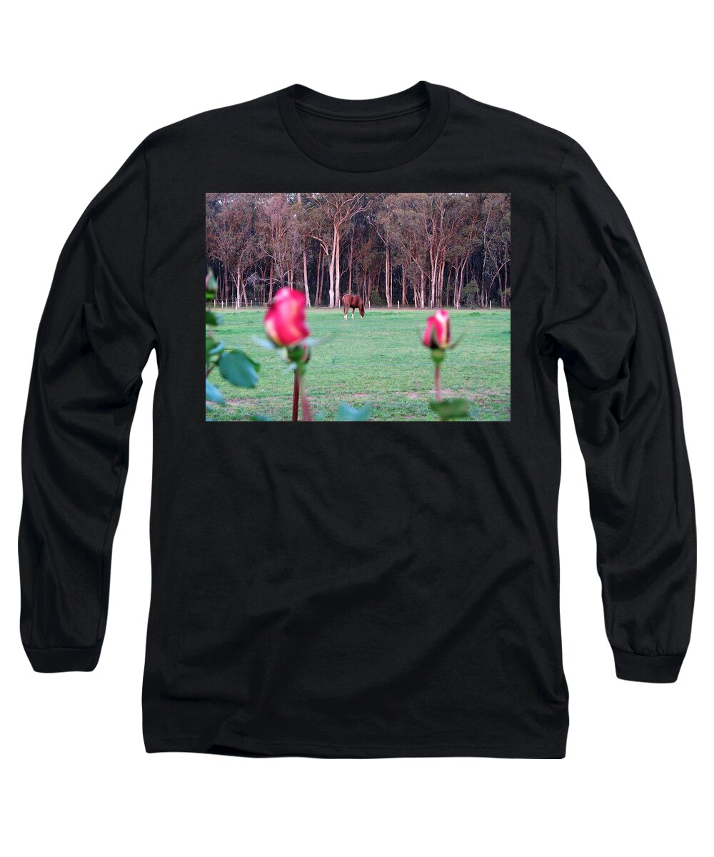 View Long Sleeve T-Shirt featuring the photograph Horse and Roses by Joan Stratton