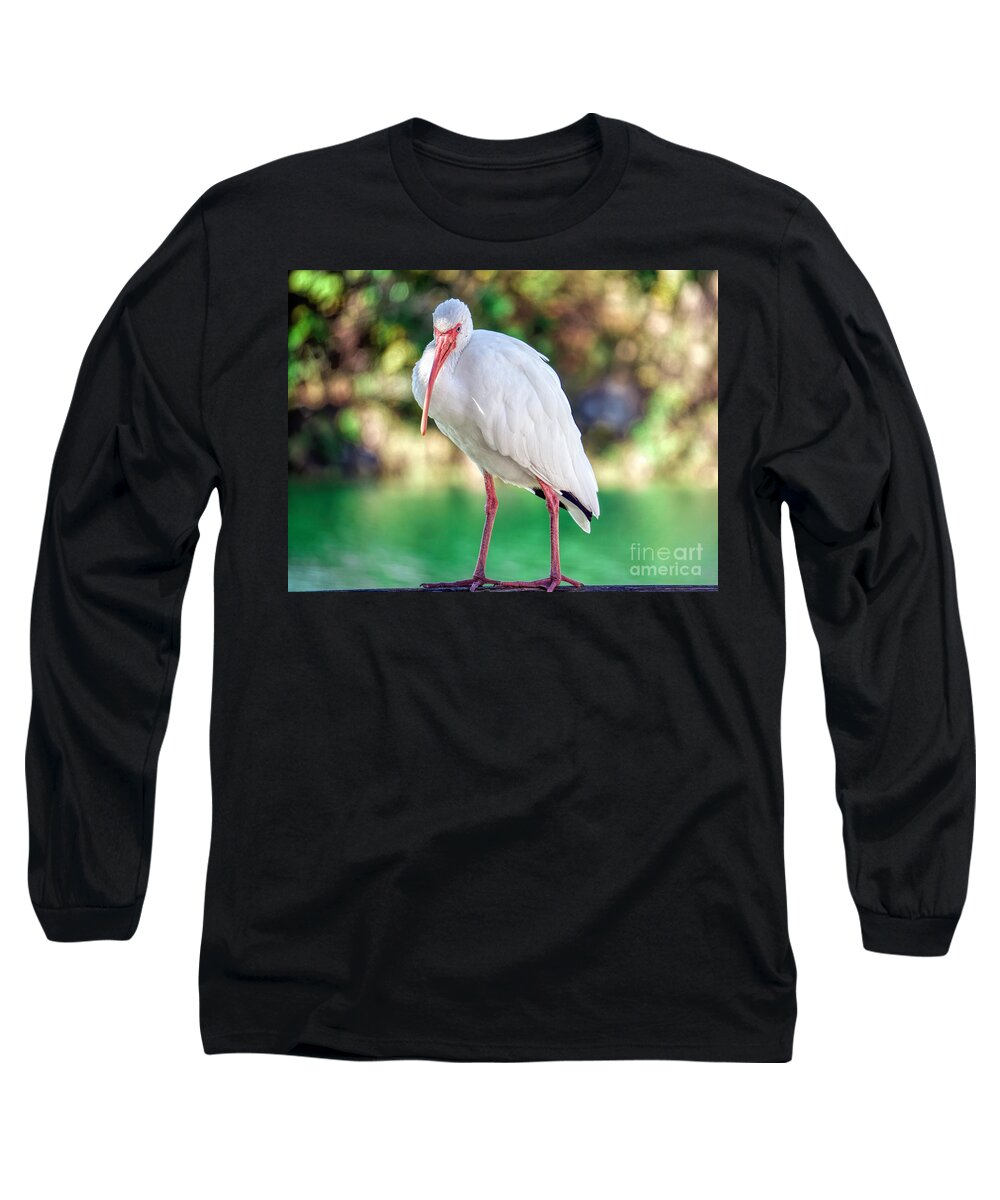 American White Ibis Long Sleeve T-Shirt featuring the photograph Ibis with Attitude by Judy Kay