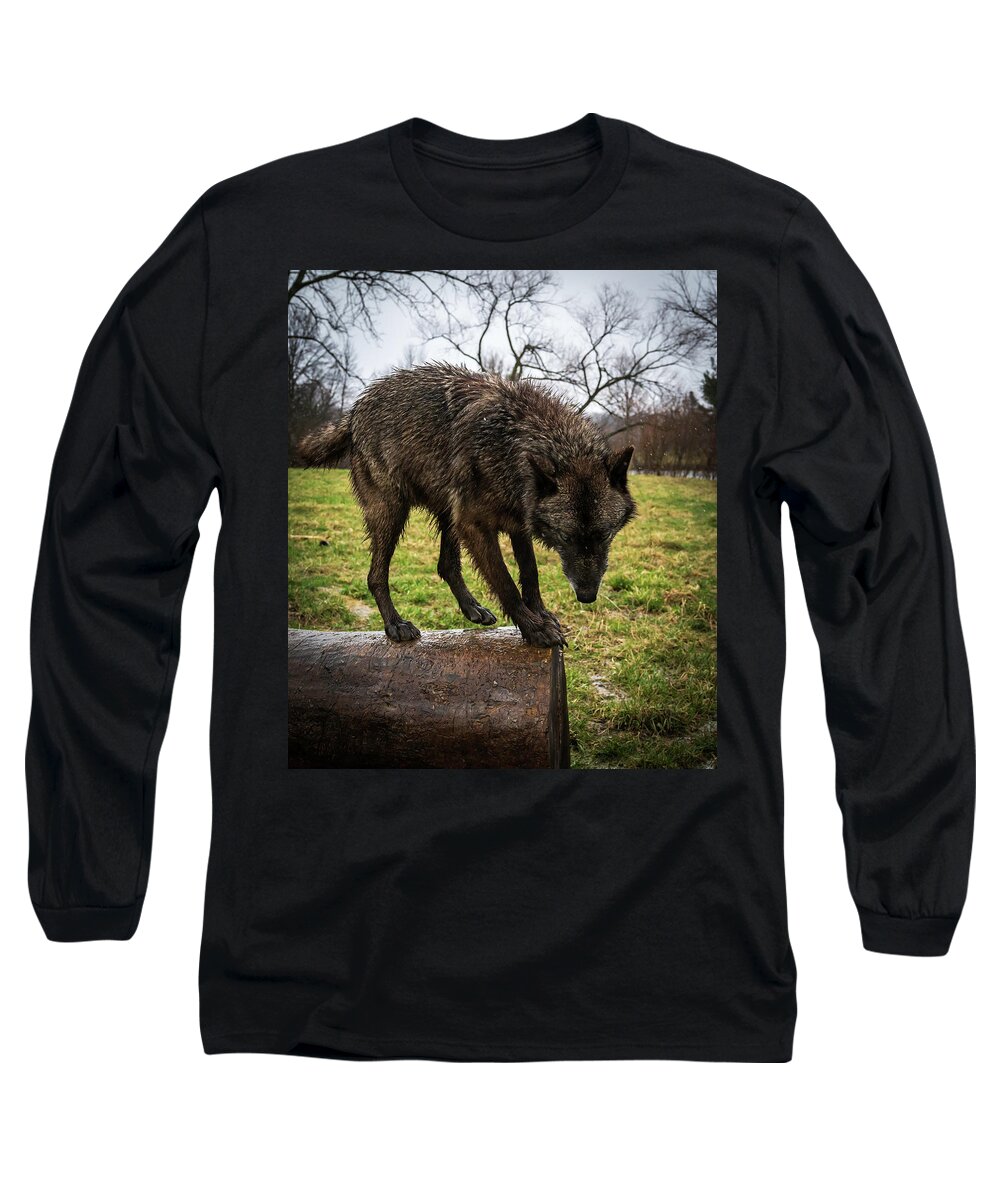 Wolves Wolf Long Sleeve T-Shirt featuring the photograph Jump by Laura Hedien