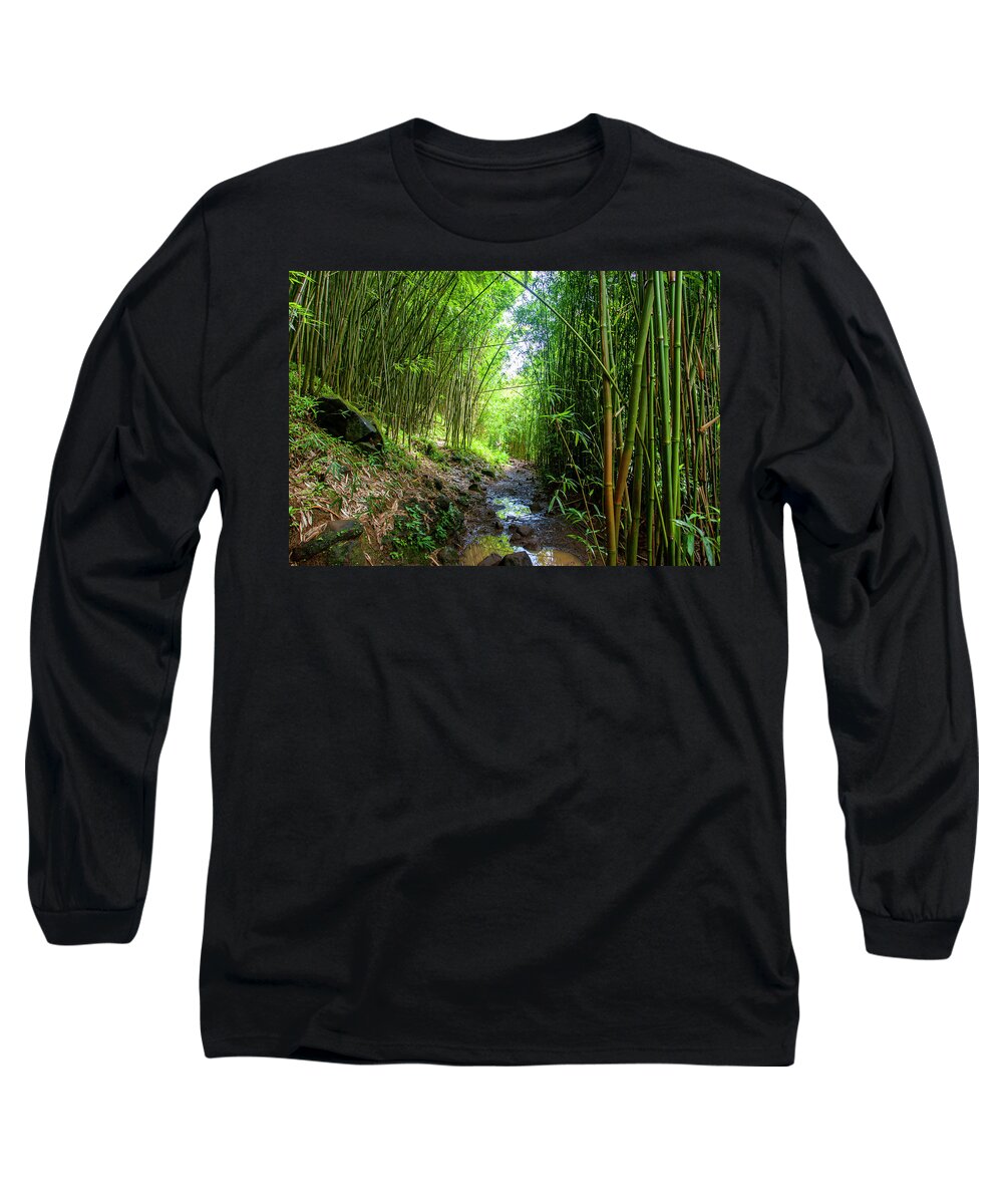 Bamboo Forest Long Sleeve T-Shirt featuring the photograph Maui Bamboo Forest by Anthony Jones