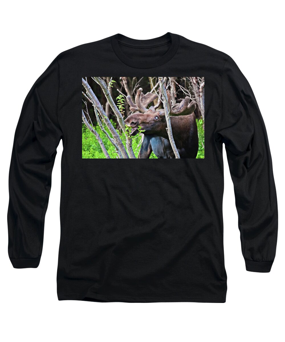 Moose Long Sleeve T-Shirt featuring the photograph Moose with an anomalous eye, at dinner time by Tatiana Travelways