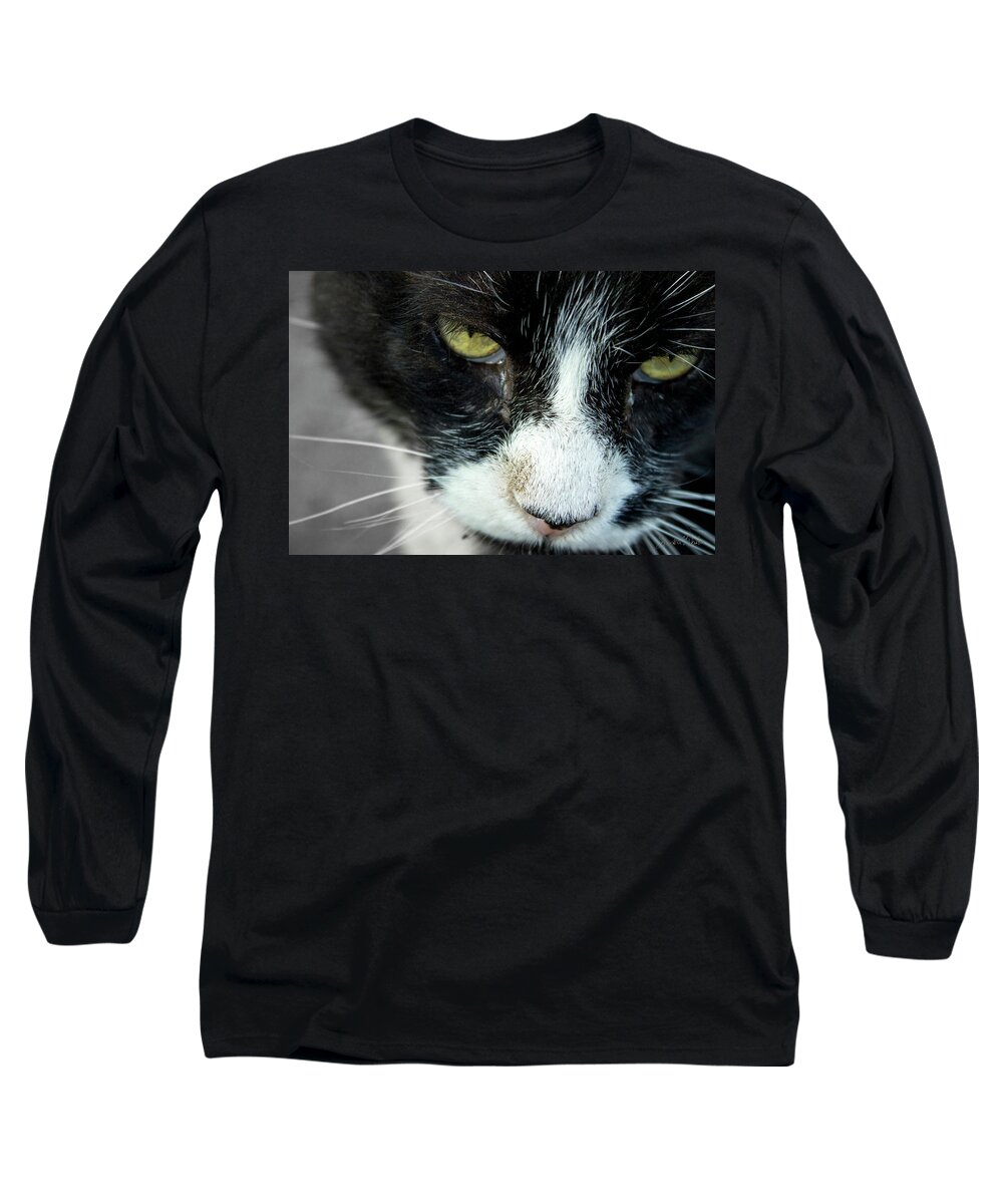 Cats Long Sleeve T-Shirt featuring the photograph Mr. Tom's Close-Up by Sandra Dalton