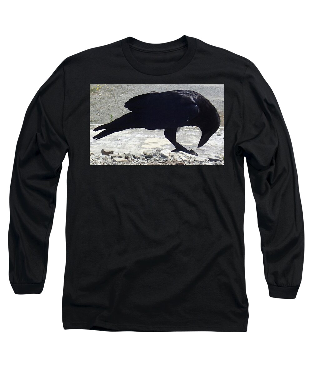 Raven. Black Long Sleeve T-Shirt featuring the photograph Peck by Fred Bailey