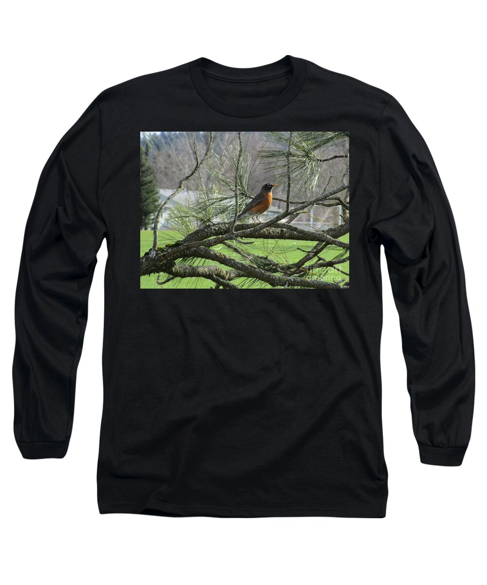 Robin Long Sleeve T-Shirt featuring the photograph Pretty as a Rbon by Marie Neder