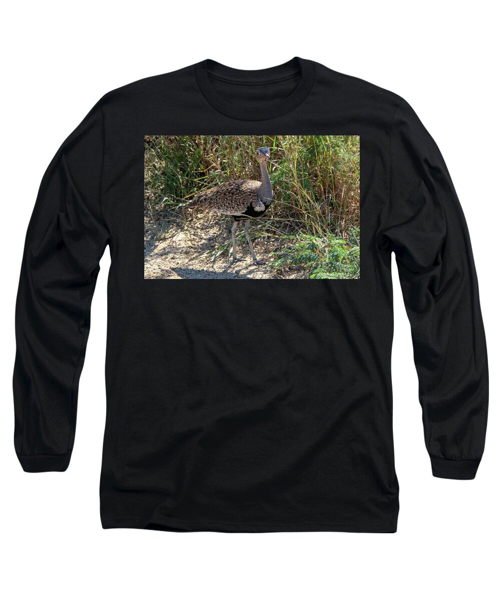 Red-crested Bustard Long Sleeve T-Shirt featuring the photograph Red-Crested Bustard of Kruger by Douglas Wielfaert