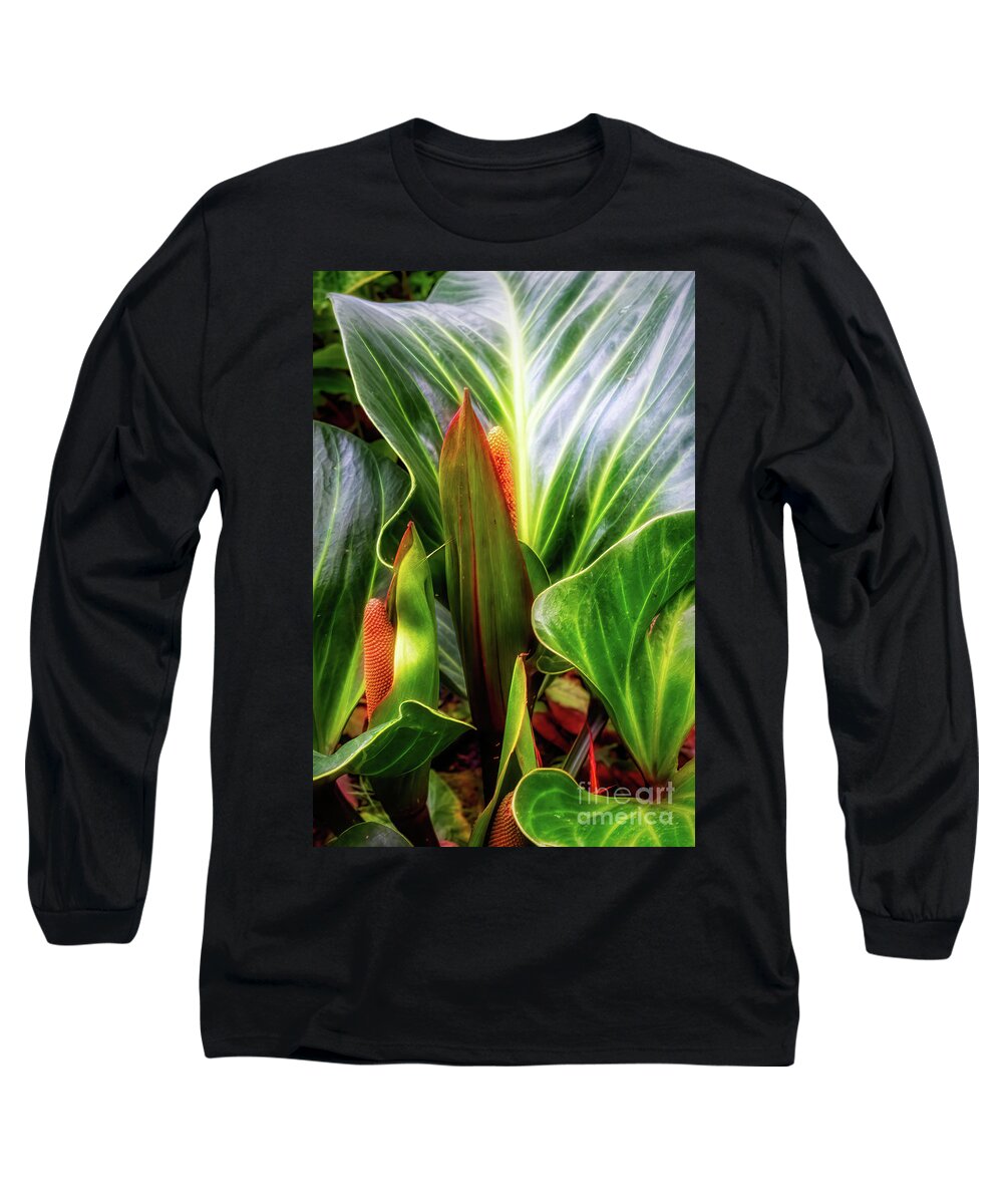 Abstract Long Sleeve T-Shirt featuring the photograph Shiny Bright Green Leaves by Roslyn Wilkins