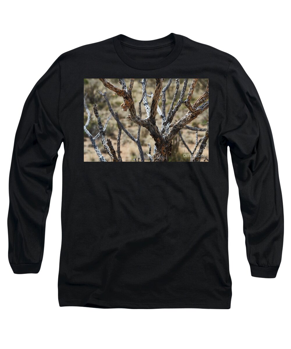 New Mexico Desert Long Sleeve T-Shirt featuring the photograph Southwest Cactus Wood by Robert WK Clark