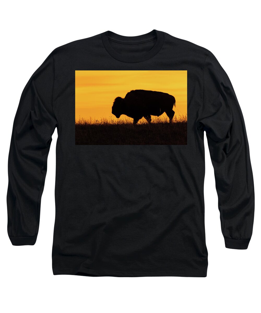 Jay Stockhaus Long Sleeve T-Shirt featuring the photograph Sunrise Bison by Jay Stockhaus