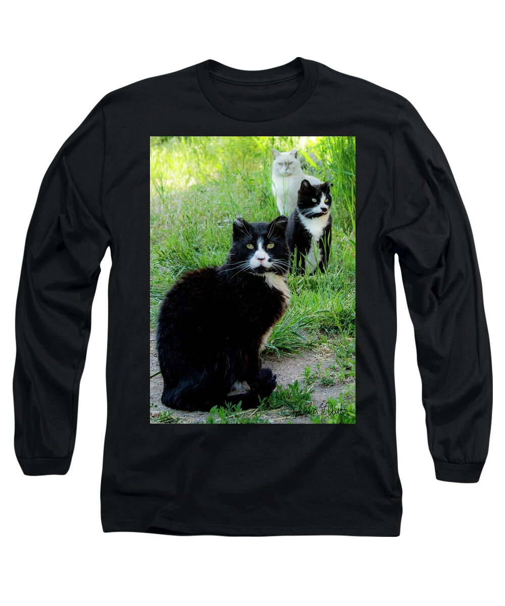 Cats Long Sleeve T-Shirt featuring the photograph Trio in the Grass by Sandra Dalton