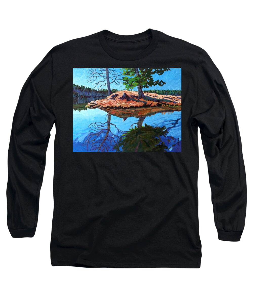2246 Long Sleeve T-Shirt featuring the painting Turtle Point by Phil Chadwick