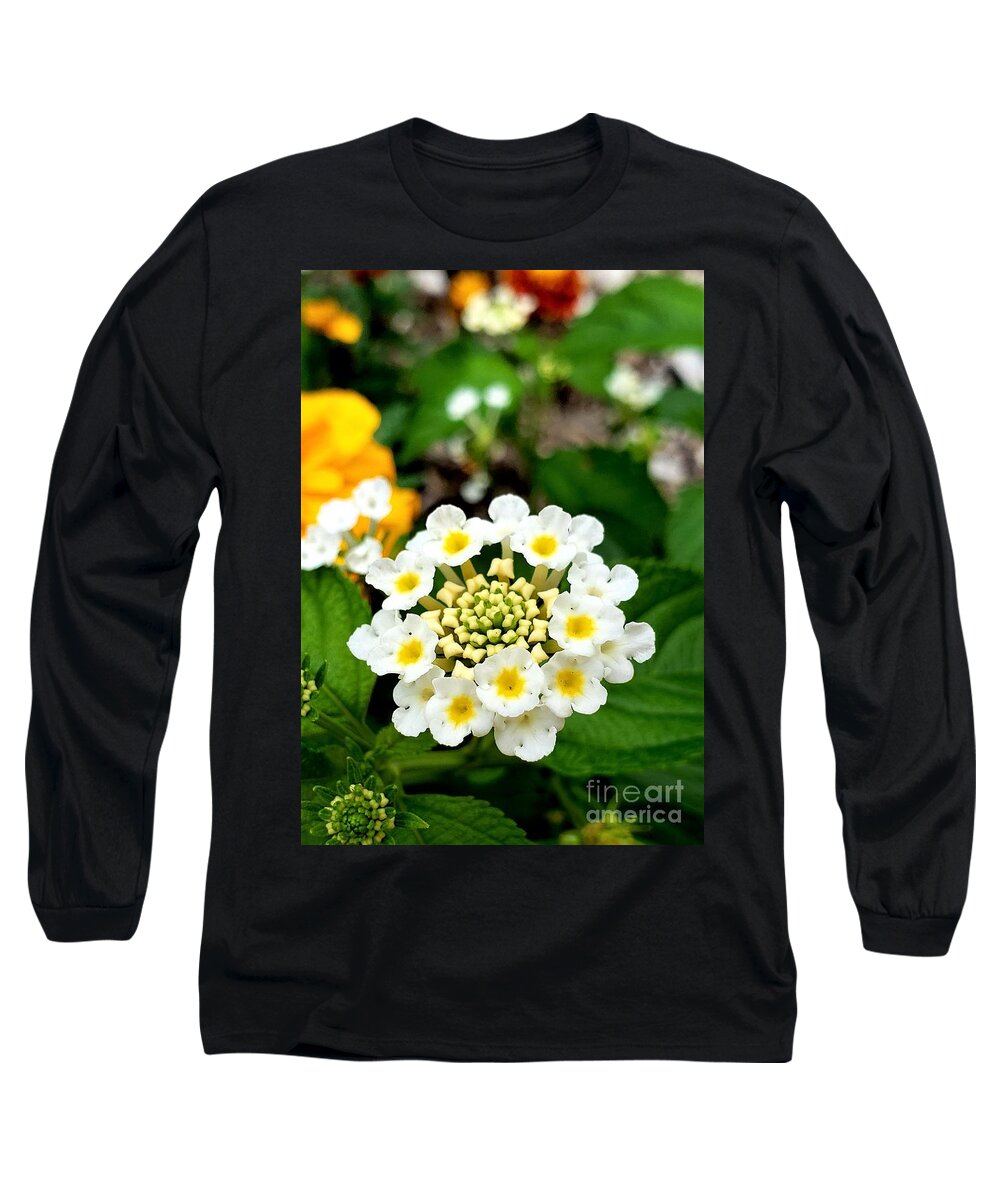 Lantana Long Sleeve T-Shirt featuring the photograph White Lantana 2 by Chad and Stacey Hall
