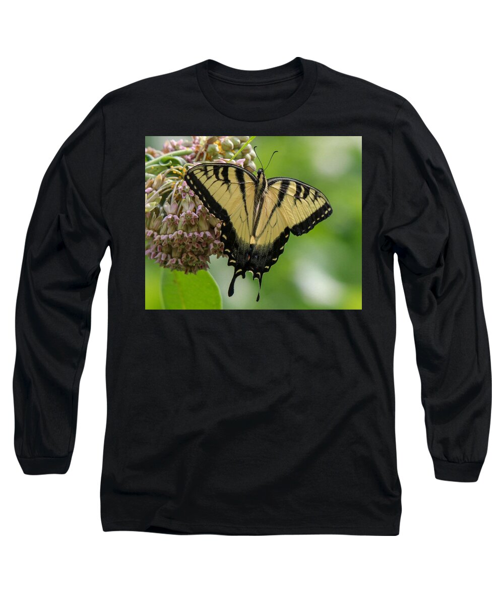 Butterfly Long Sleeve T-Shirt featuring the photograph Yellow Swallowtail Butterfly by Susan Rydberg