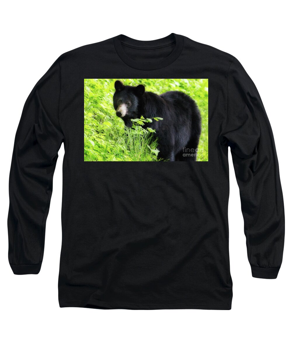 Landscape Long Sleeve T-Shirt featuring the photograph Black Bear, Smoky Mountains by Theresa D Williams