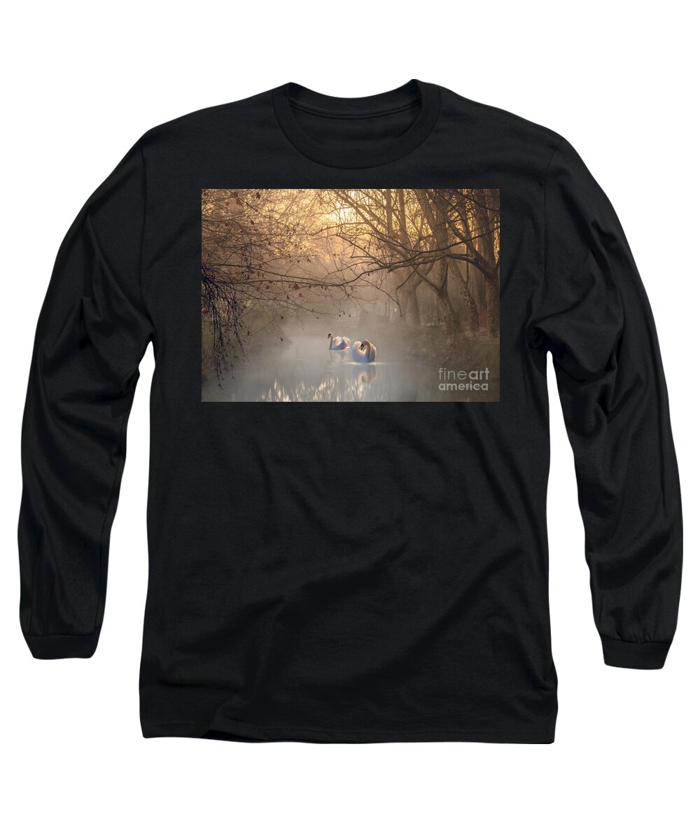 Swans Long Sleeve T-Shirt featuring the mixed media The Light Of The Fall #1 by Morag Bates