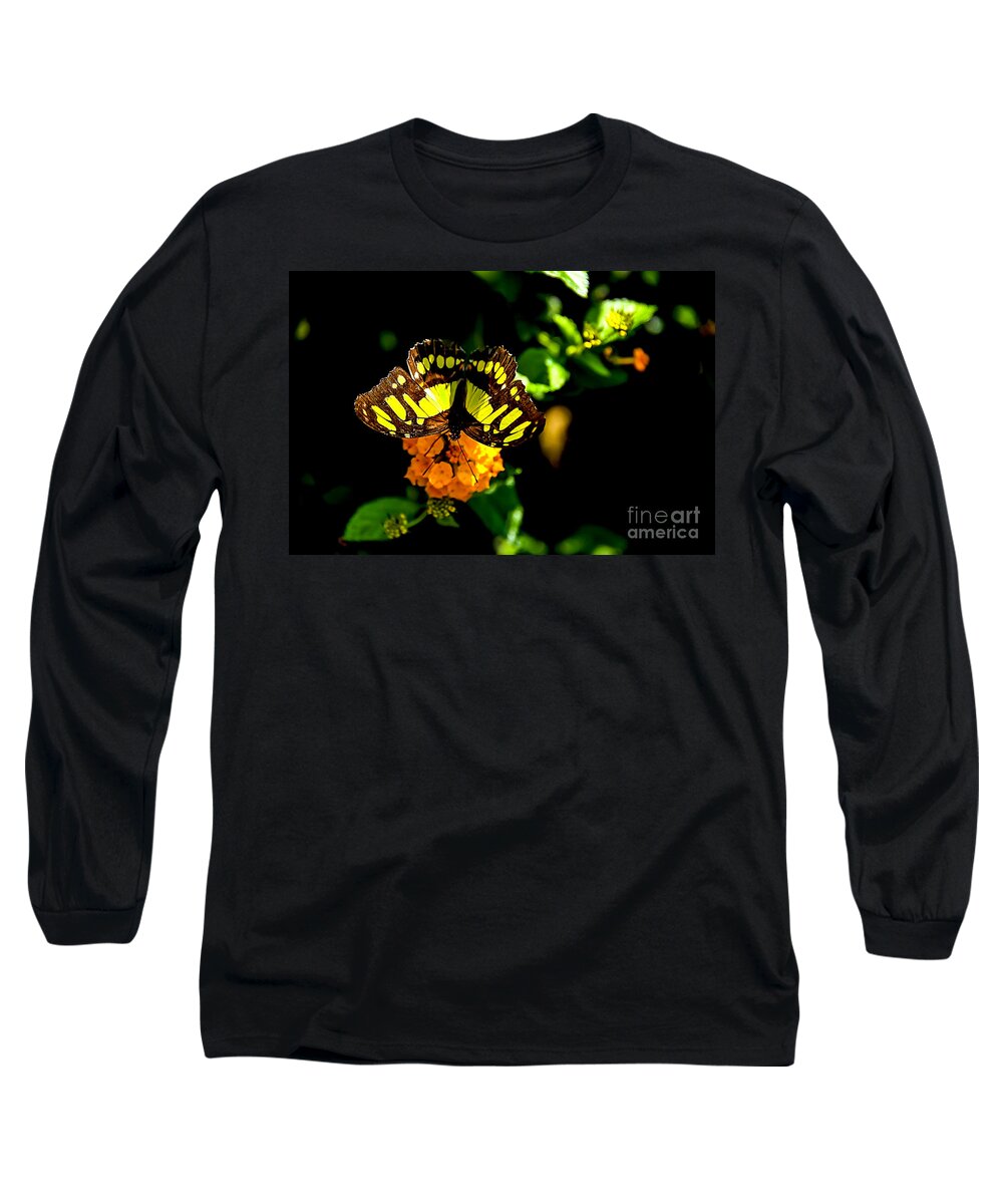 Malachite Butterfly Long Sleeve T-Shirt featuring the digital art Malachite Butterfly #4 by Tammy Keyes