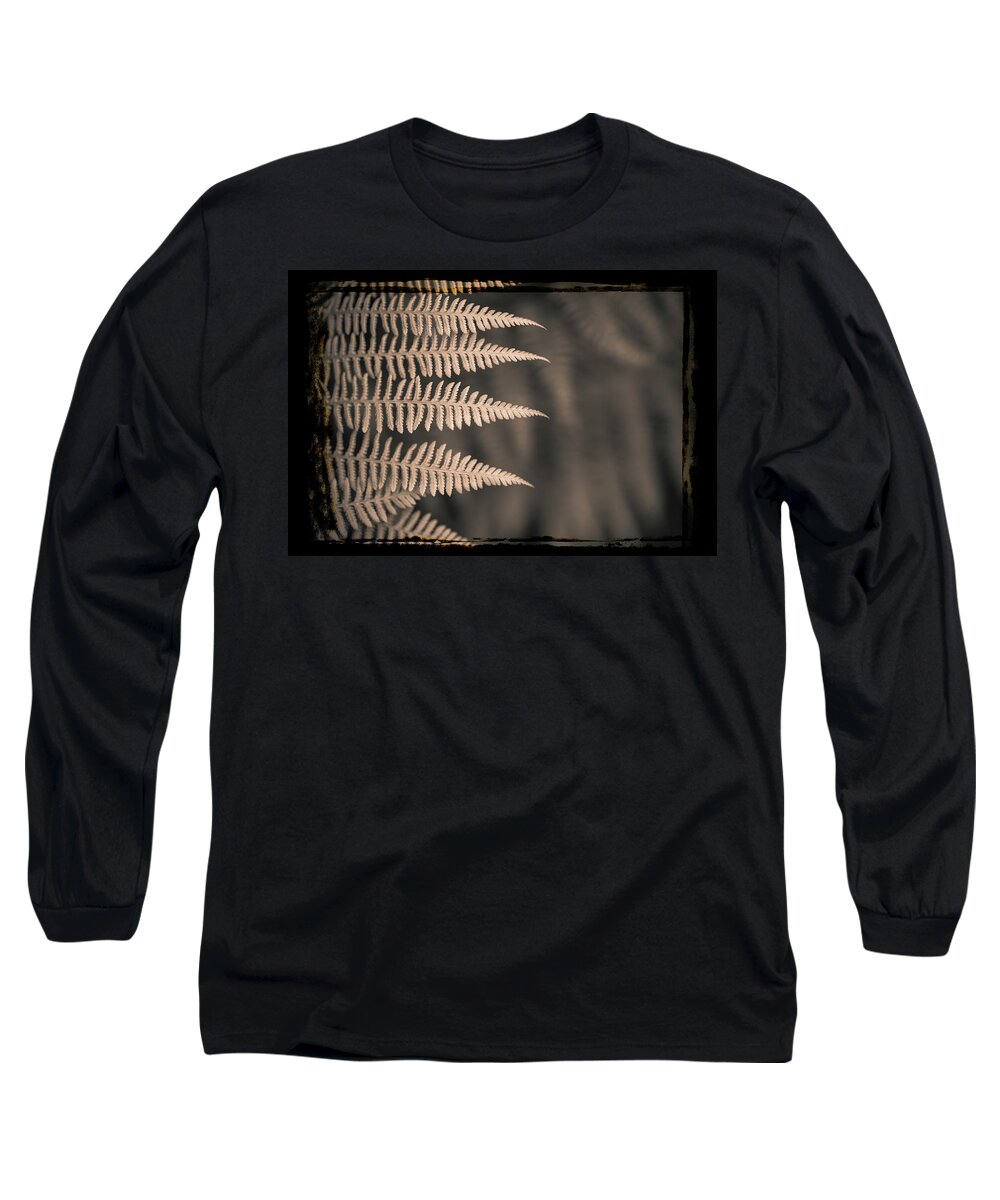 Alan Copson Long Sleeve T-Shirt featuring the photograph Ferns #6 by Alan Copson