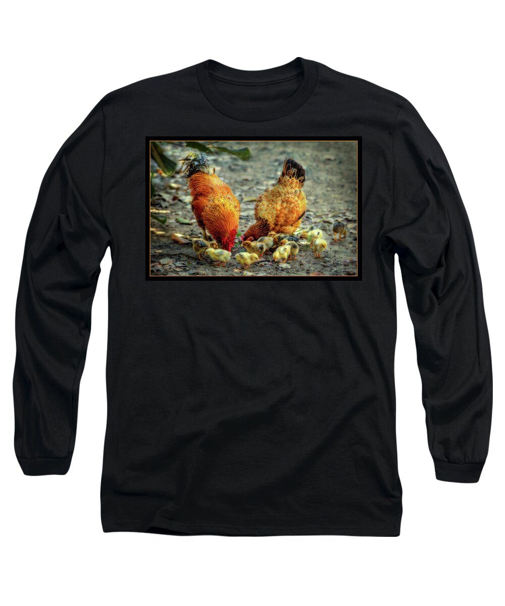 Family Long Sleeve T-Shirt featuring the digital art A Family of Chickens by Cindy Collier Harris