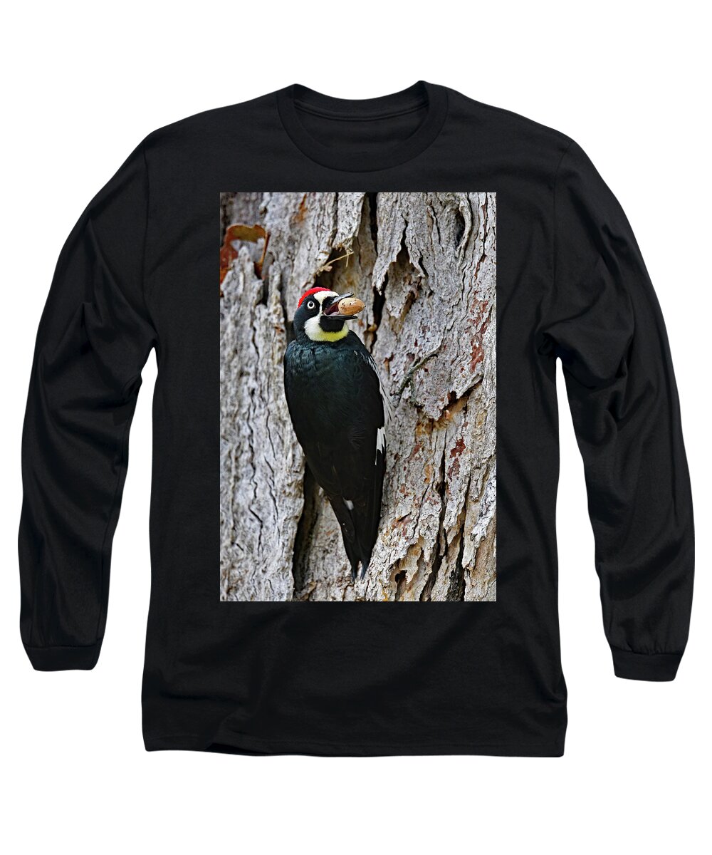 Melanerpes Formicivorus Long Sleeve T-Shirt featuring the photograph Acorn Woodpecker - Melanerpes formicivorus by Amazing Action Photo Video