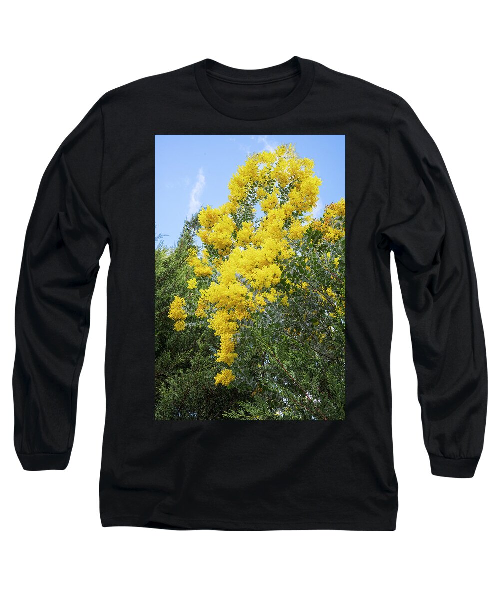 Flowers Long Sleeve T-Shirt featuring the photograph Amazing Acacias by Jay Heifetz