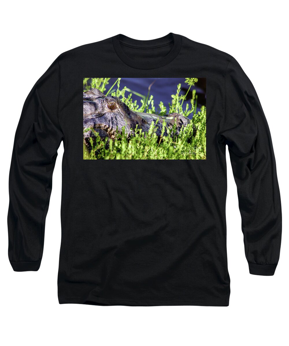 Alligator Long Sleeve T-Shirt featuring the photograph American Alligator by Joanne Carey